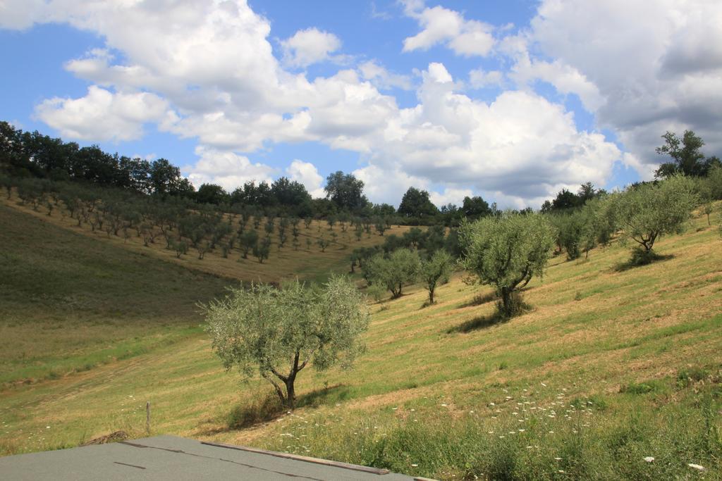 Agriturismo Le Buche Di Viesca Реджелло Екстер'єр фото